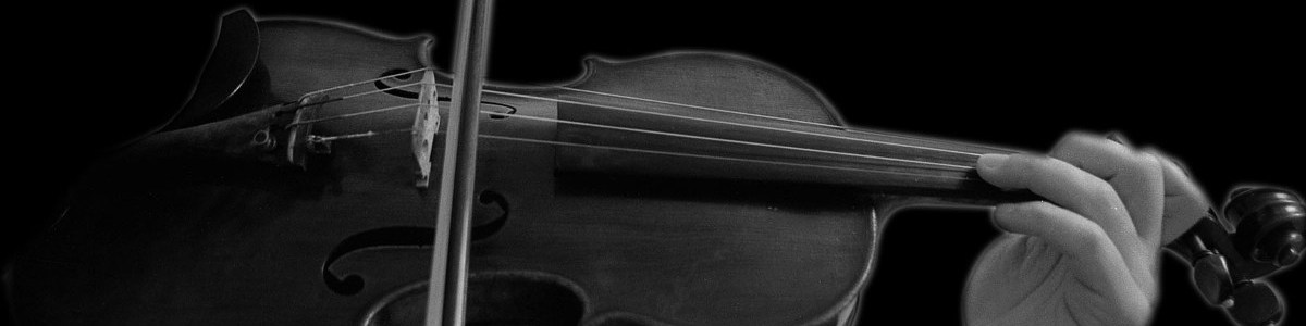 violino